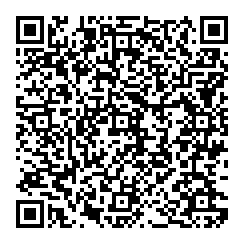 QR Code 2